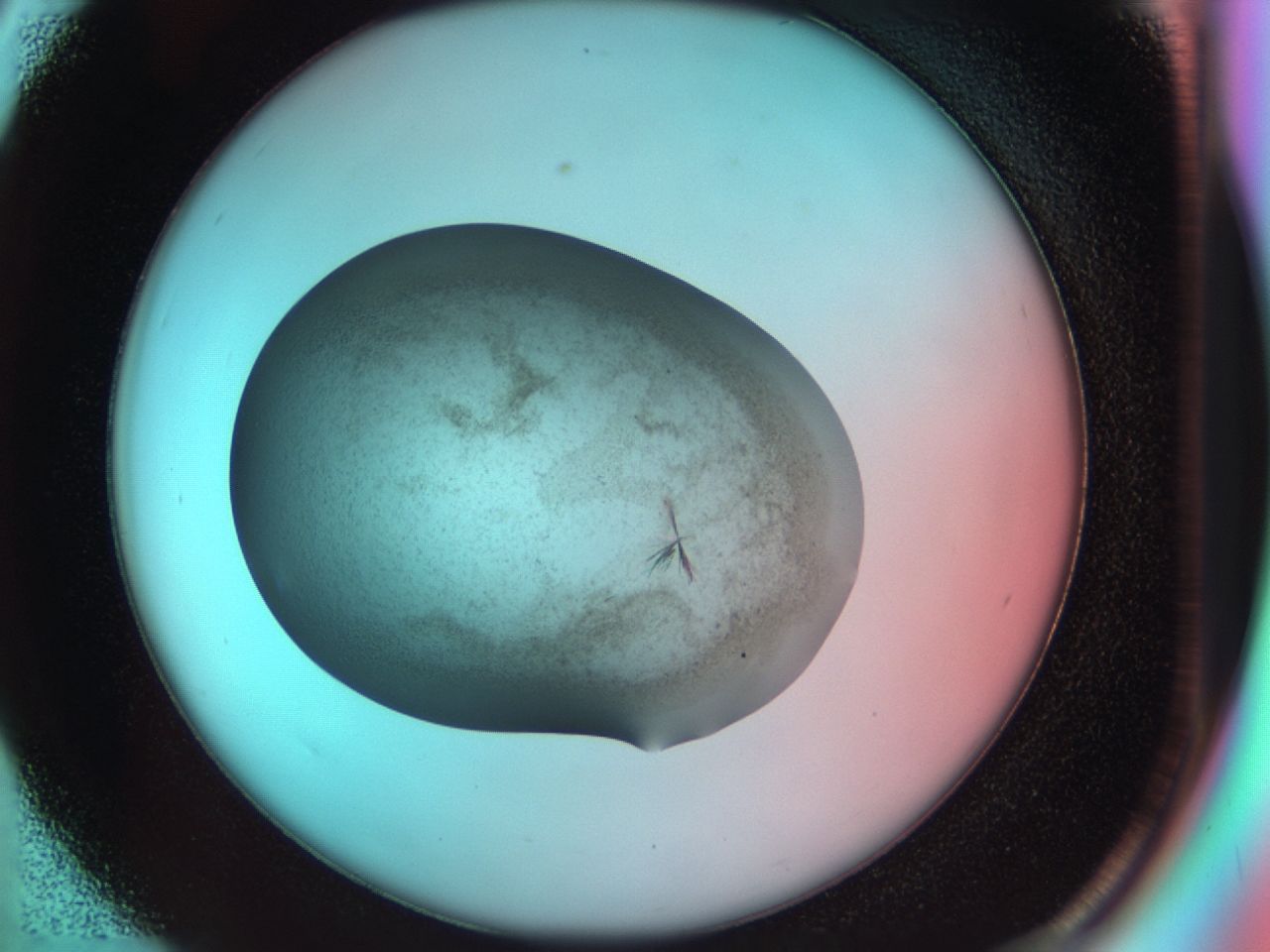 035e_D6_ImagerDefaults_7.jpg