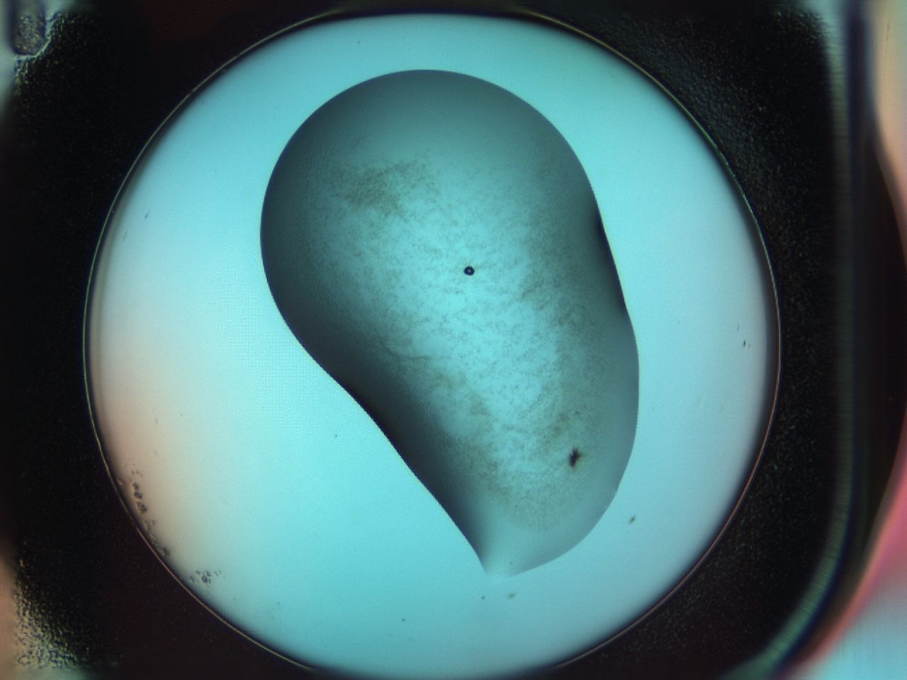 035e_B11_ImagerDefaults_7.jpg