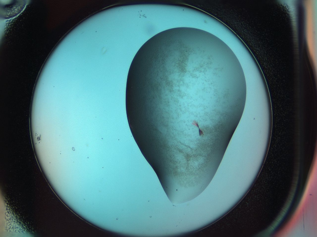 035e_B10_ImagerDefaults_7.jpg