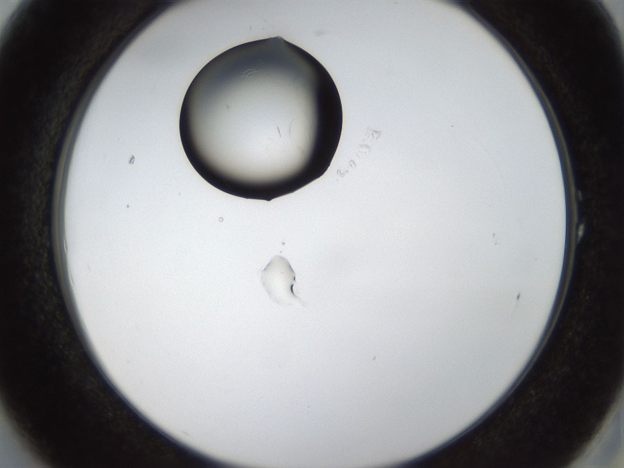 folderID38_plateID1038_batchID2105_wellNum1_profileID1_d2_r46345_ef.jpg
