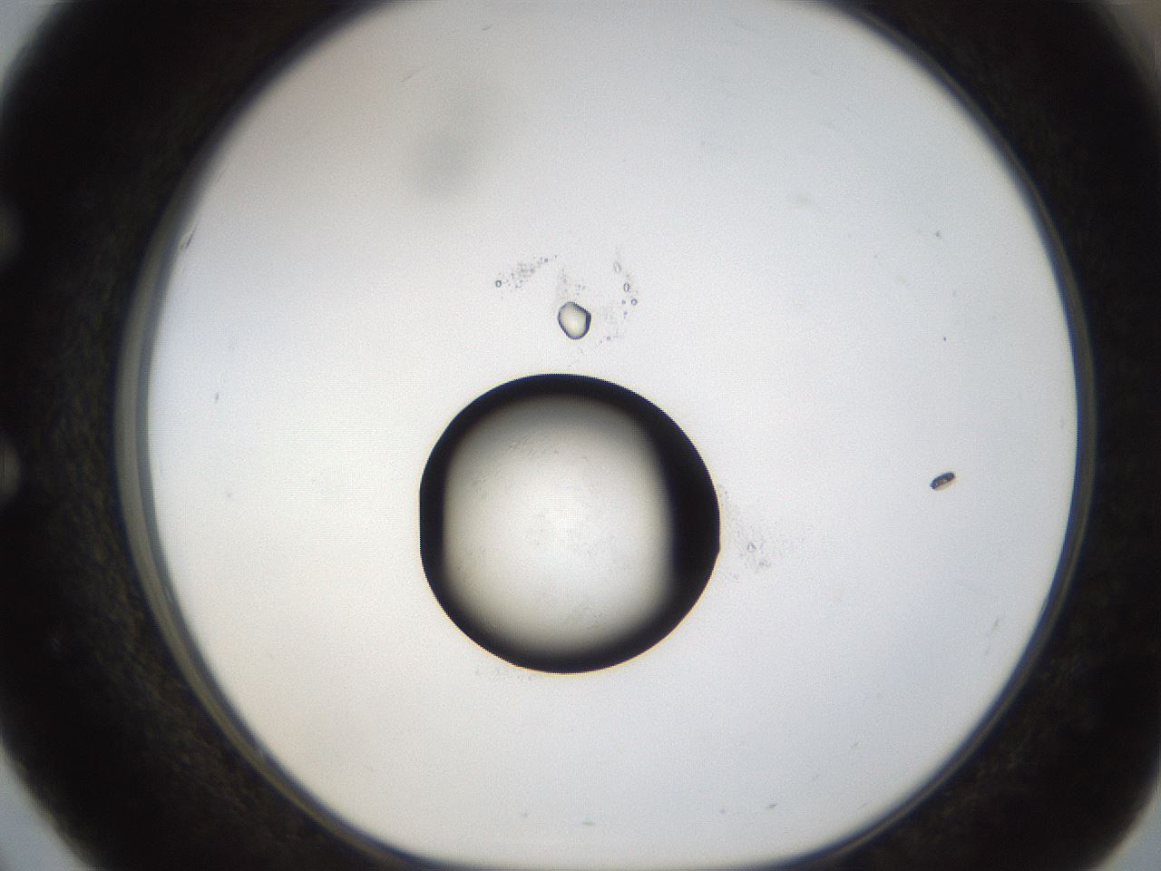 folderID38_plateID1038_batchID2105_wellNum51_profileID1_d1_r46444_ef.jpg