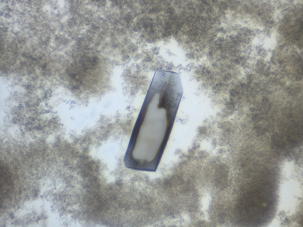 035x_D5_ImagerDefaults_9.jpg