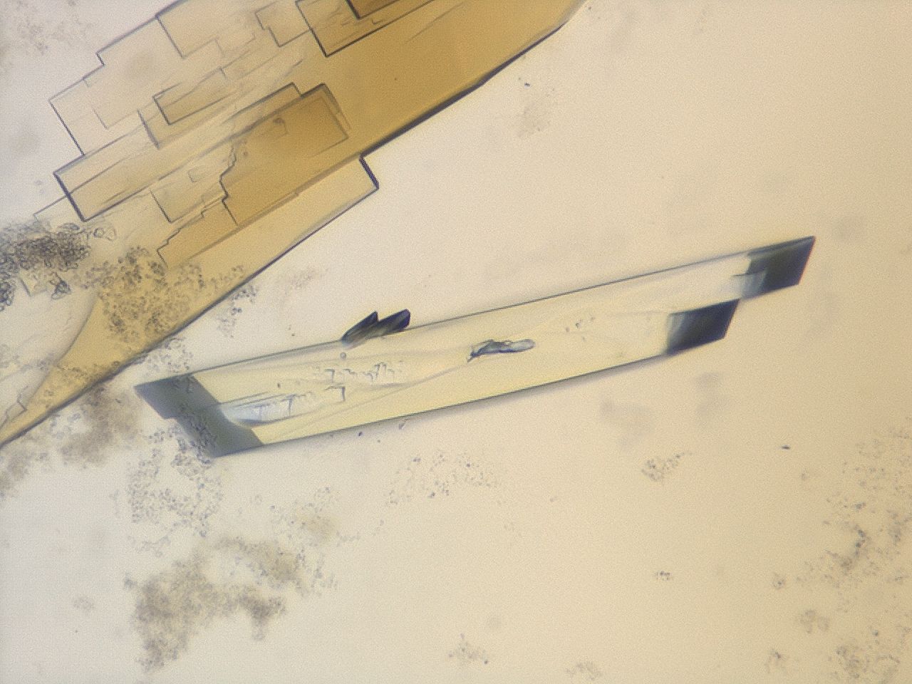 035x_D7_ImagerDefaults_8.jpg