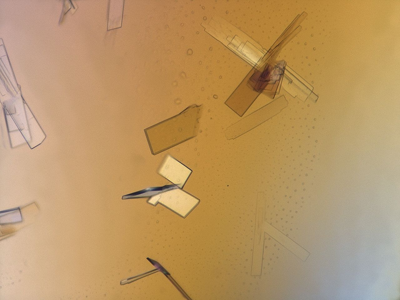 035x_H12_ImagerDefaults_8.jpg