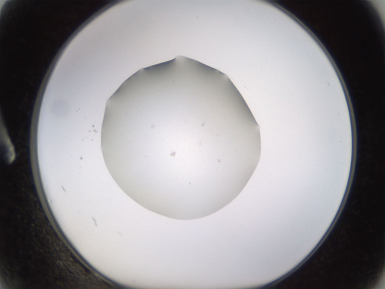 folderID395_plateID1395_batchID5058_wellNum2_profileID1_d1_r85651_ef.jpg