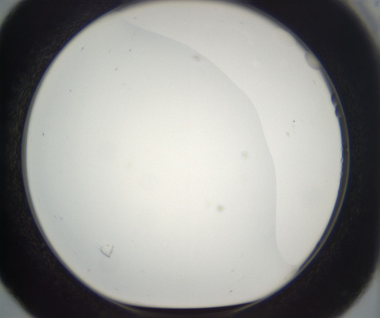 folderID395_plateID2395_batchID11264_wellNum16_profileID1_d1_r177394_ef.jpg