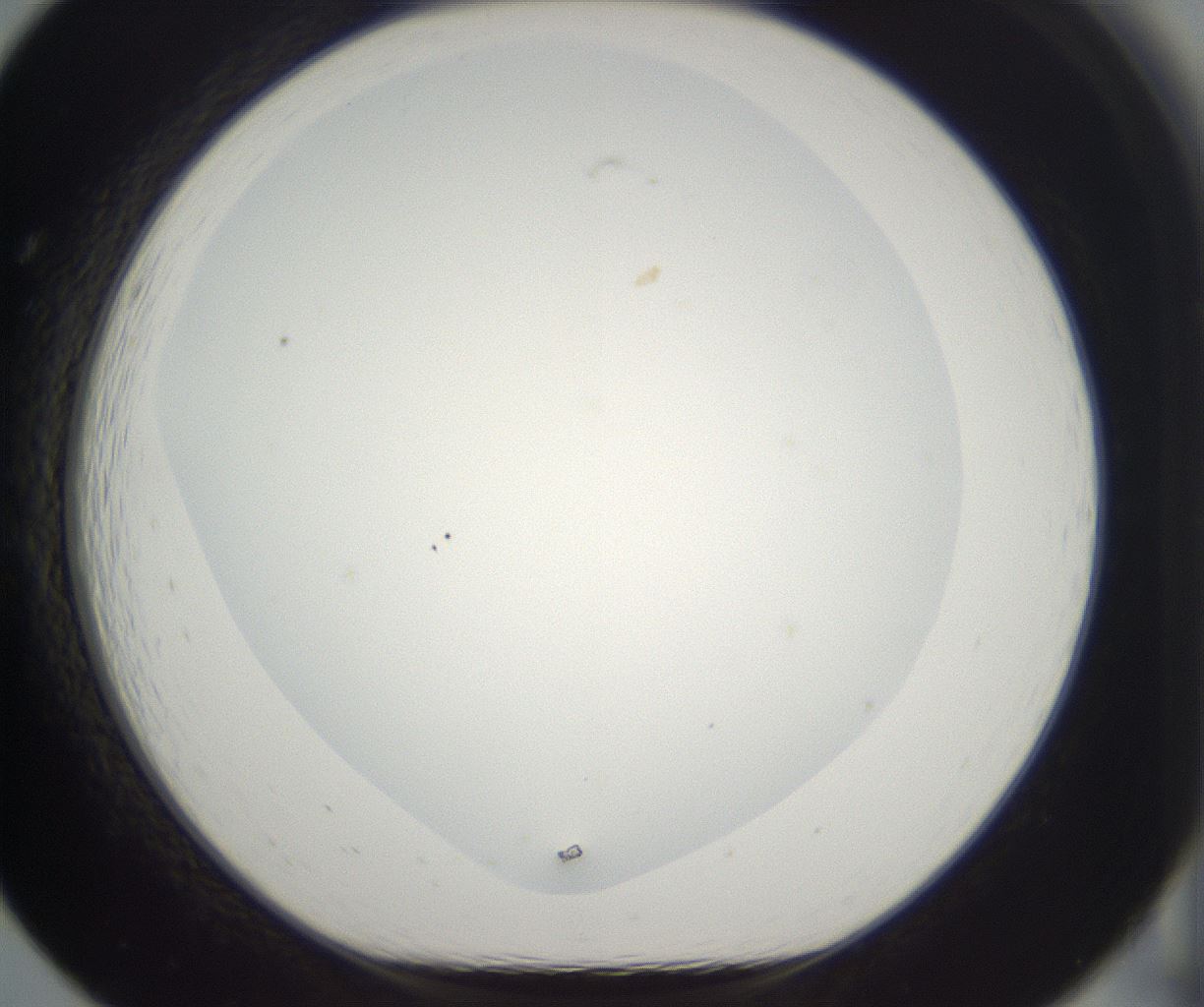 folderID395_plateID2395_batchID11264_wellNum19_profileID1_d1_r177397_ef.jpg