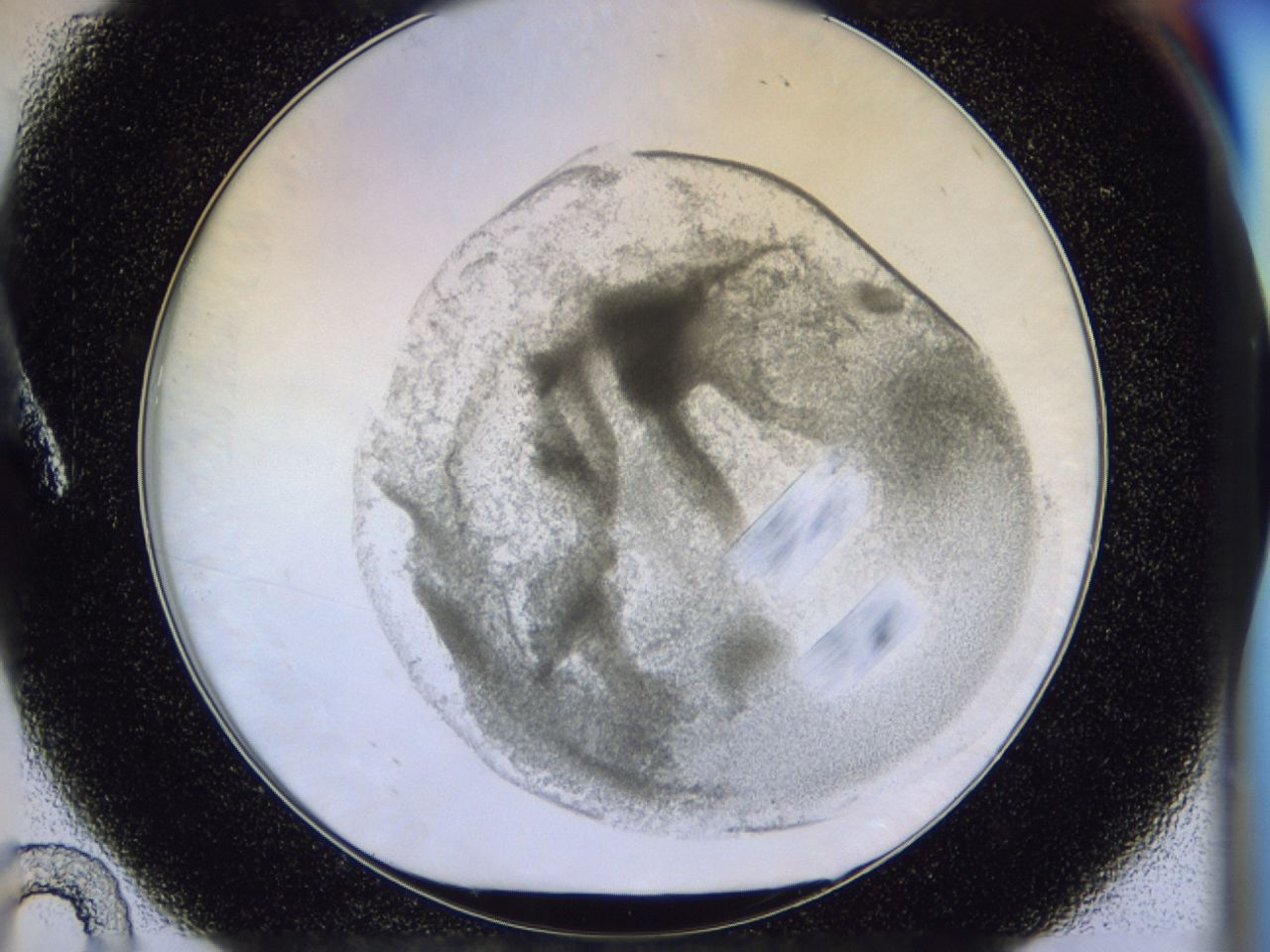 035y_A10_ImagerDefaults_7.jpg