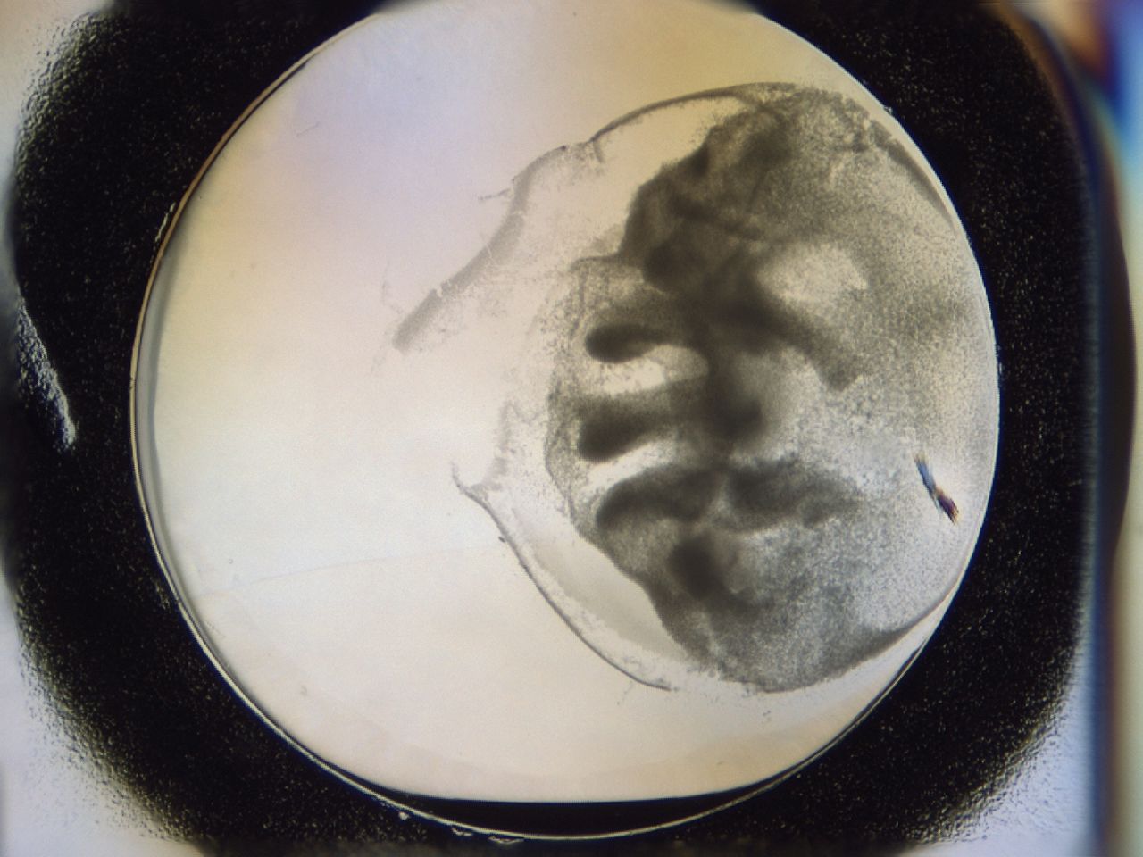 035y_A1_ImagerDefaults_6.jpg