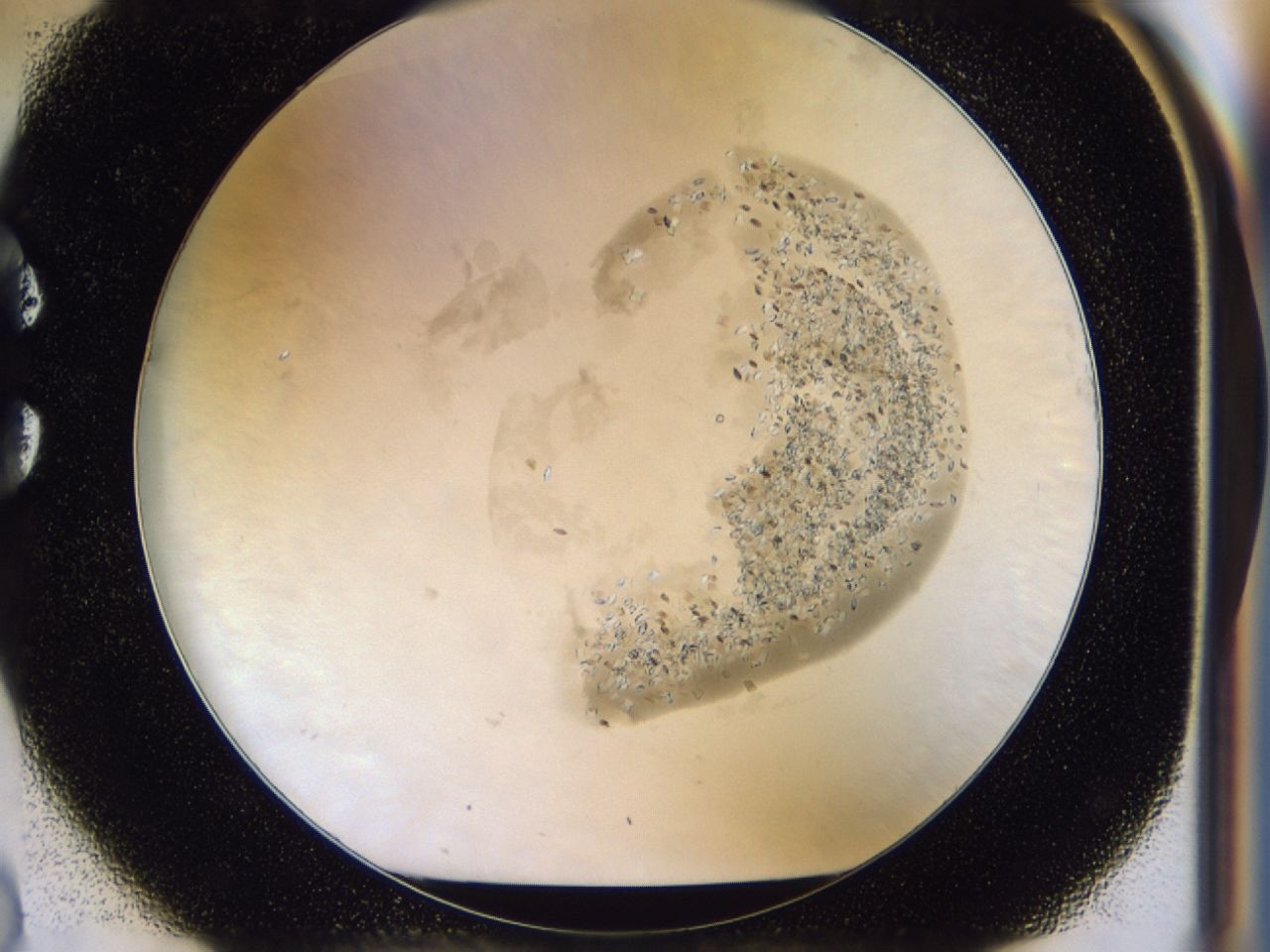 035y_C2_ImagerDefaults_6.jpg