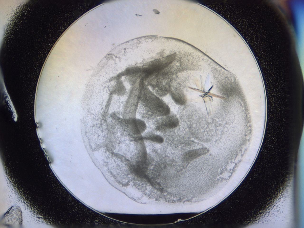 035y_A11_ImagerDefaults_7.jpg
