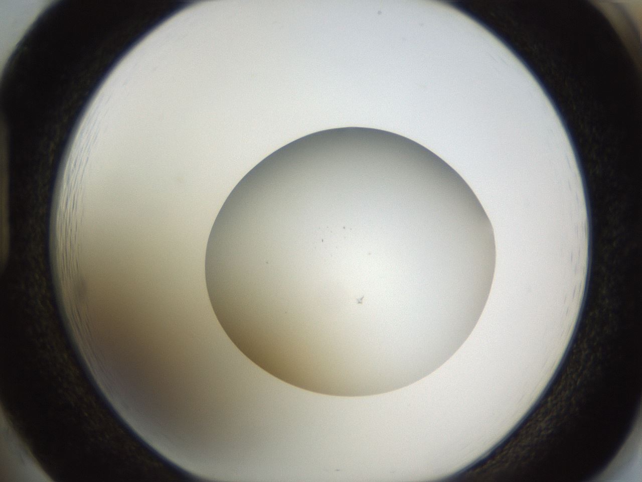 folderID397_plateID1397_batchID5053_wellNum85_profileID1_d1_r85254_ef.jpg