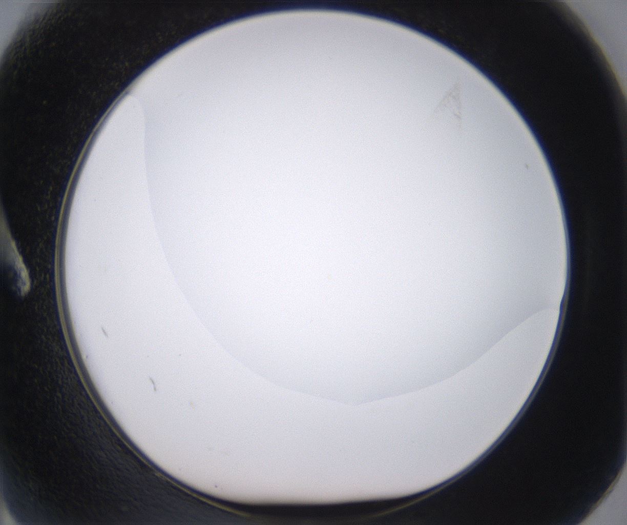 folderID398_plateID2398_batchID11263_wellNum2_profileID1_d1_r177188_ef.jpg