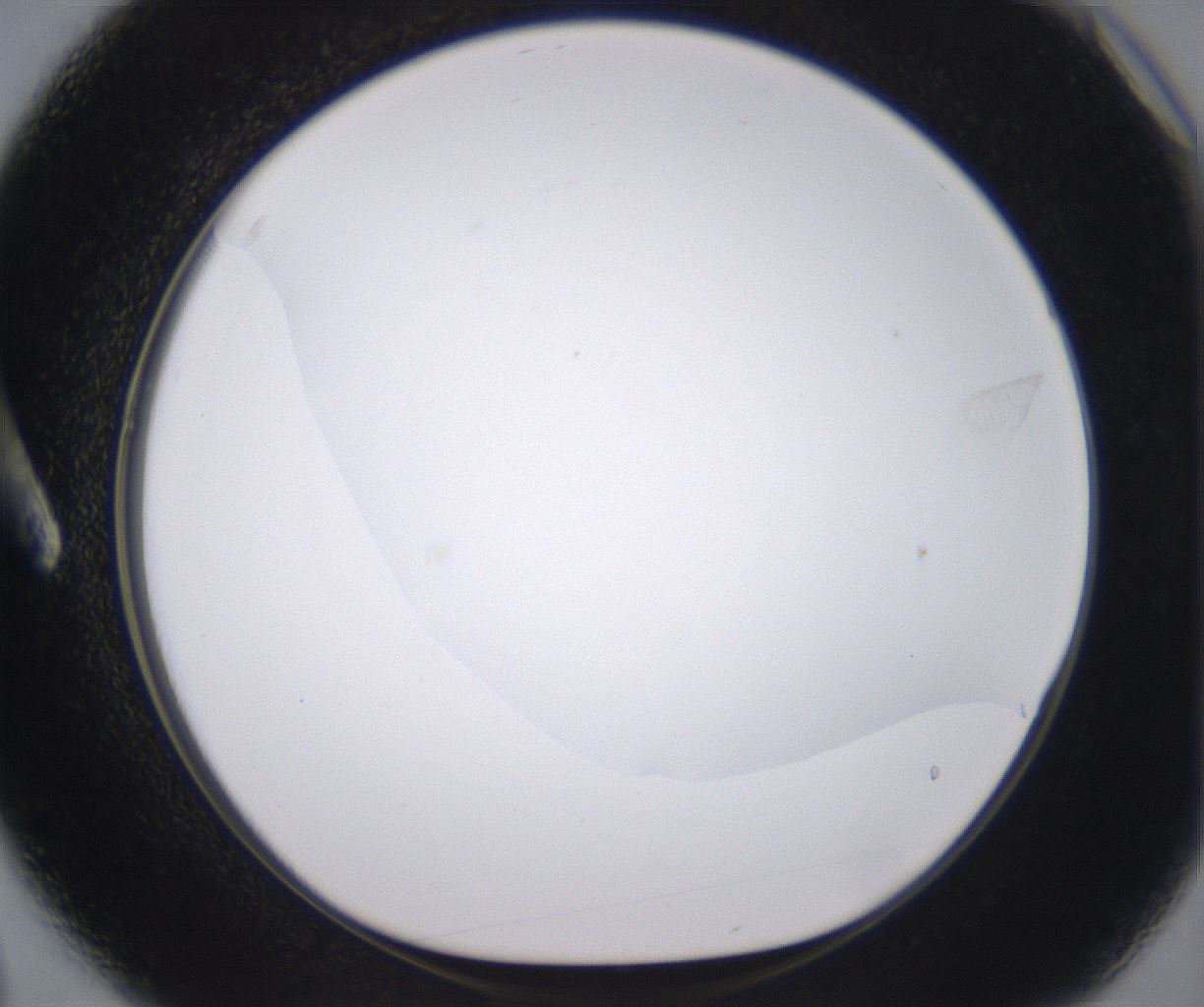 folderID398_plateID2398_batchID11263_wellNum3_profileID1_d1_r177189_ef.jpg
