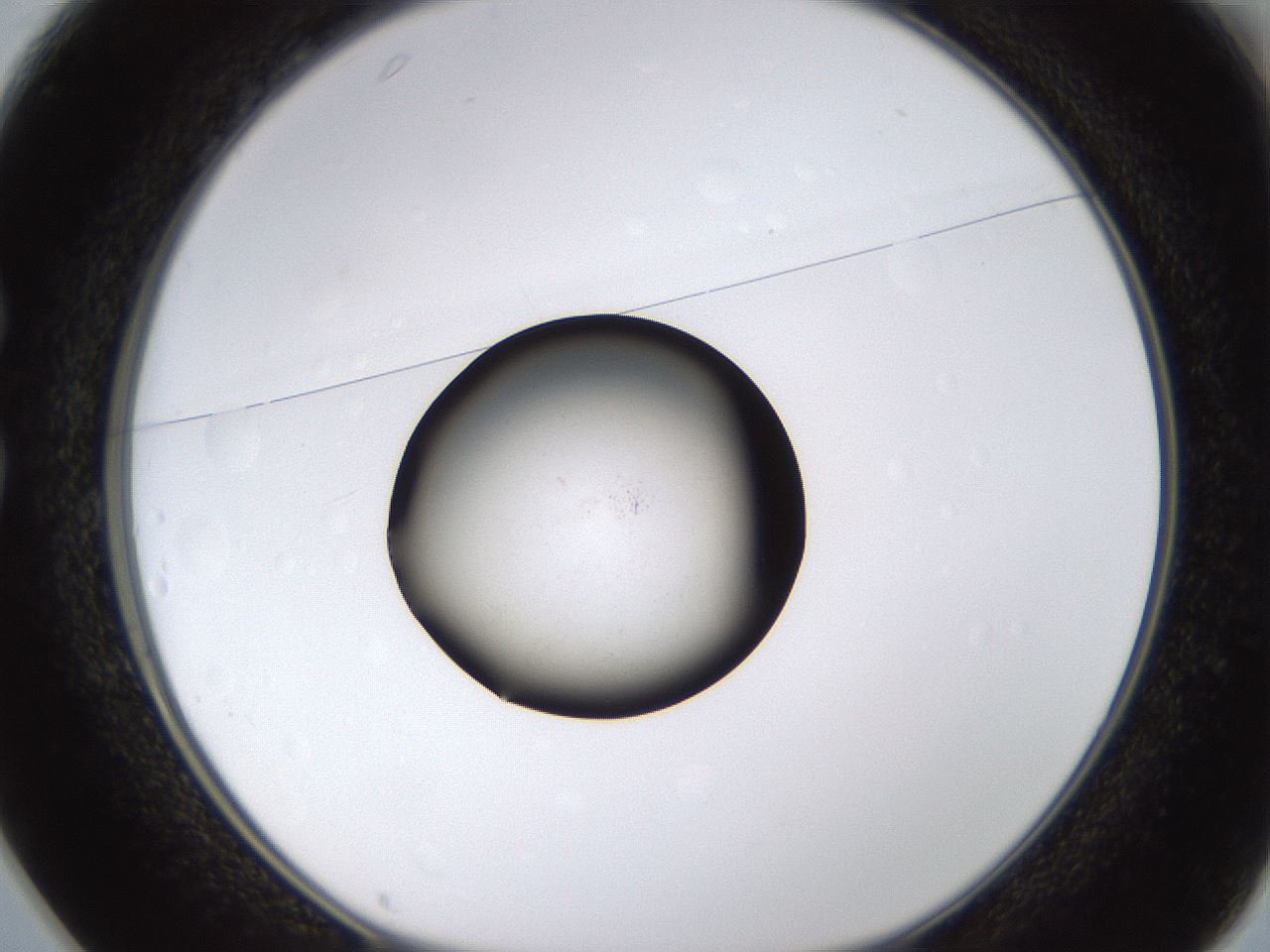 folderID399_plateID1399_batchID5060_wellNum25_profileID1_d1_r85866_ef.jpg