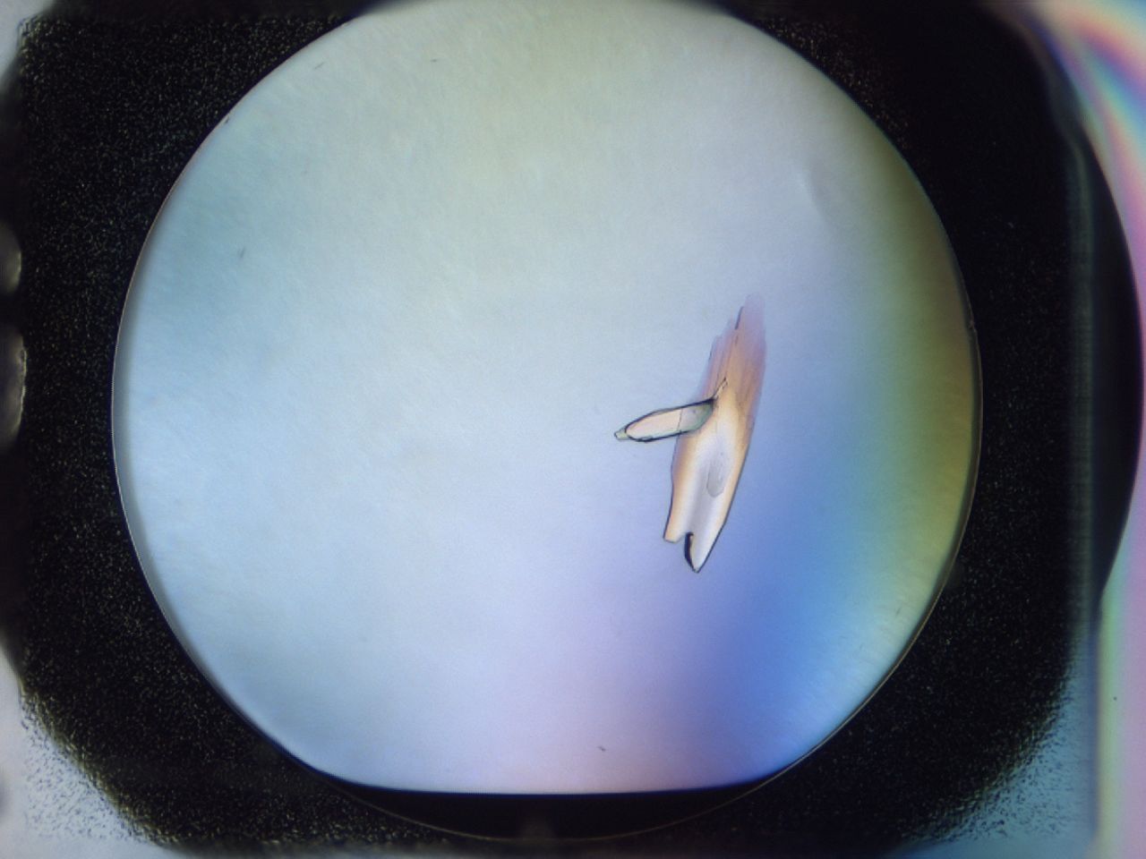 0362_G6_ImagerDefaults_8.jpg
