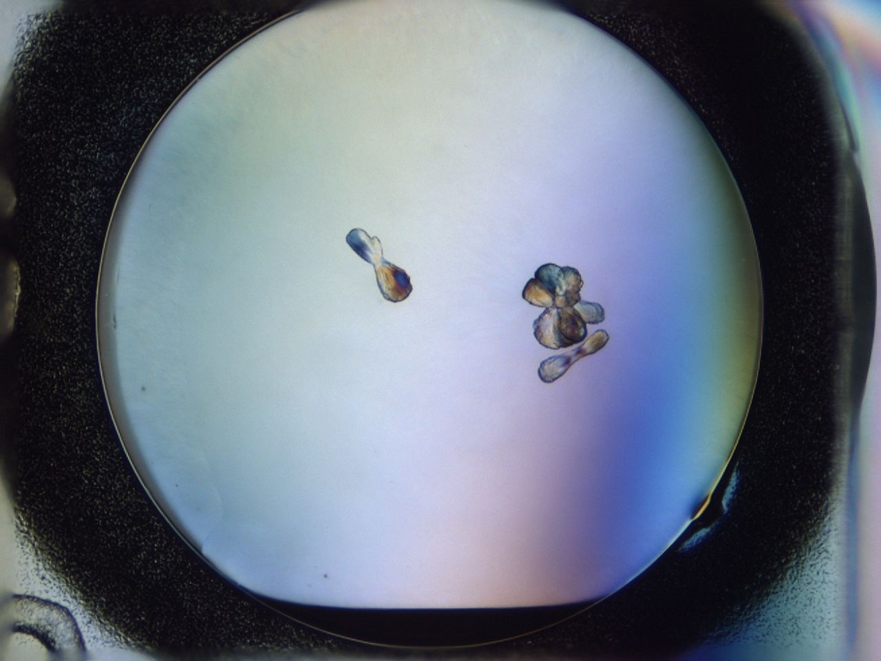 0362_G10_ImagerDefaults_6.jpg