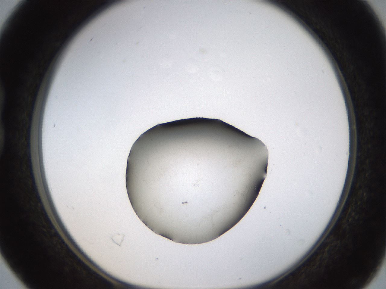 folderID399_plateID1399_batchID5060_wellNum16_profileID1_d1_r85857_ef.jpg