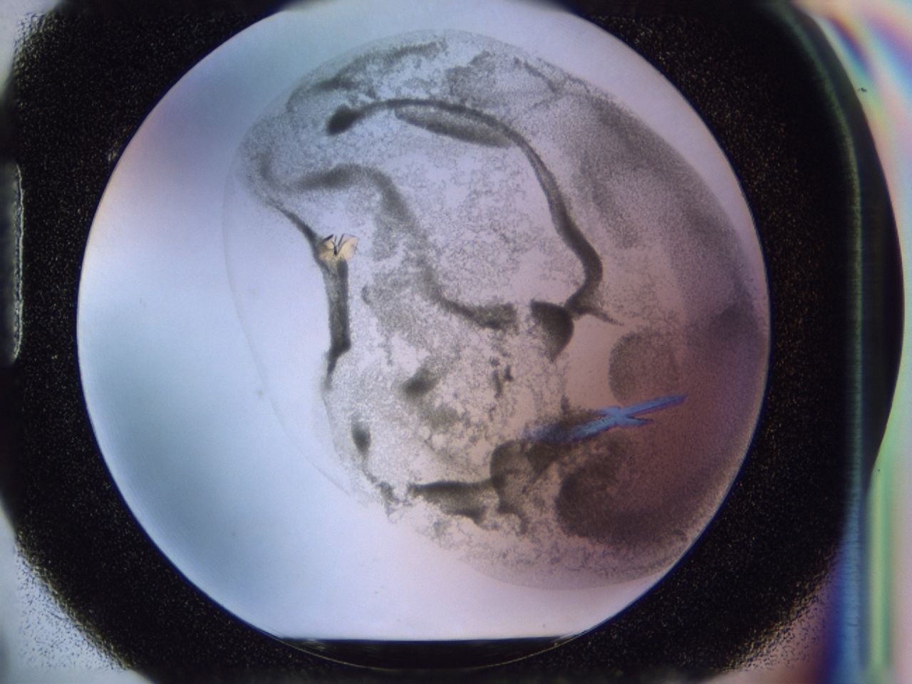 0362_H2_ImagerDefaults_7.jpg