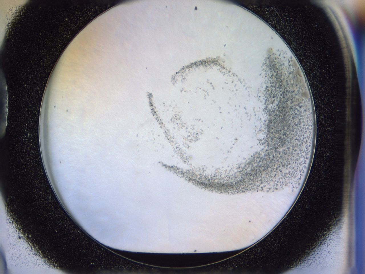 0362_D9_ImagerDefaults_6.jpg