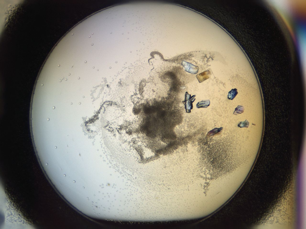 0363_D7_ImagerDefaults_7.jpg