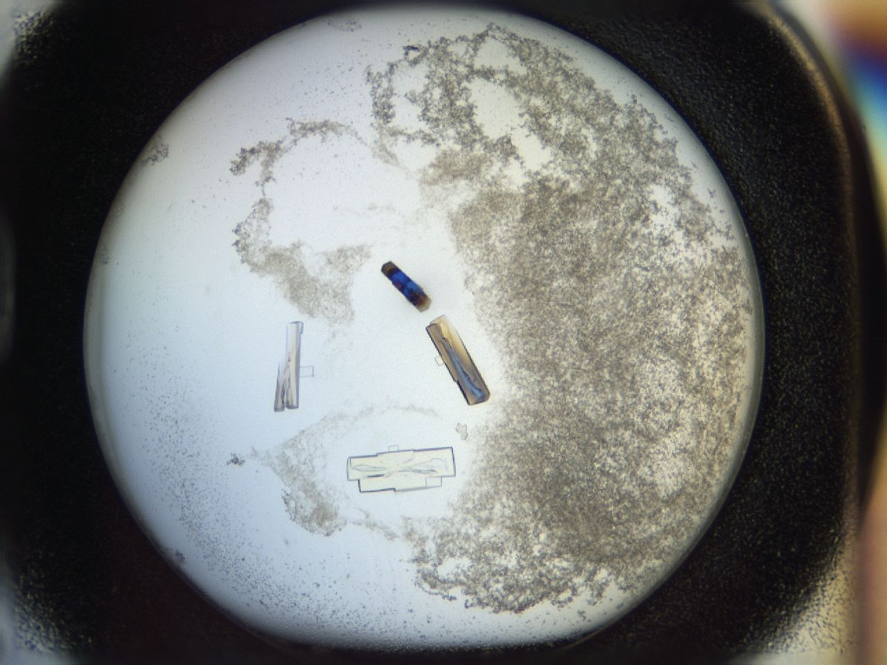 0363_D5_ImagerDefaults_8.jpg