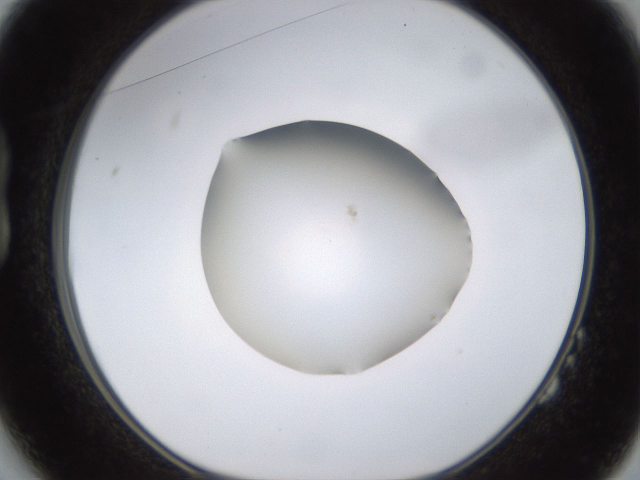folderID400_plateID1400_batchID5057_wellNum14_profileID1_d1_r85567_ef.jpg