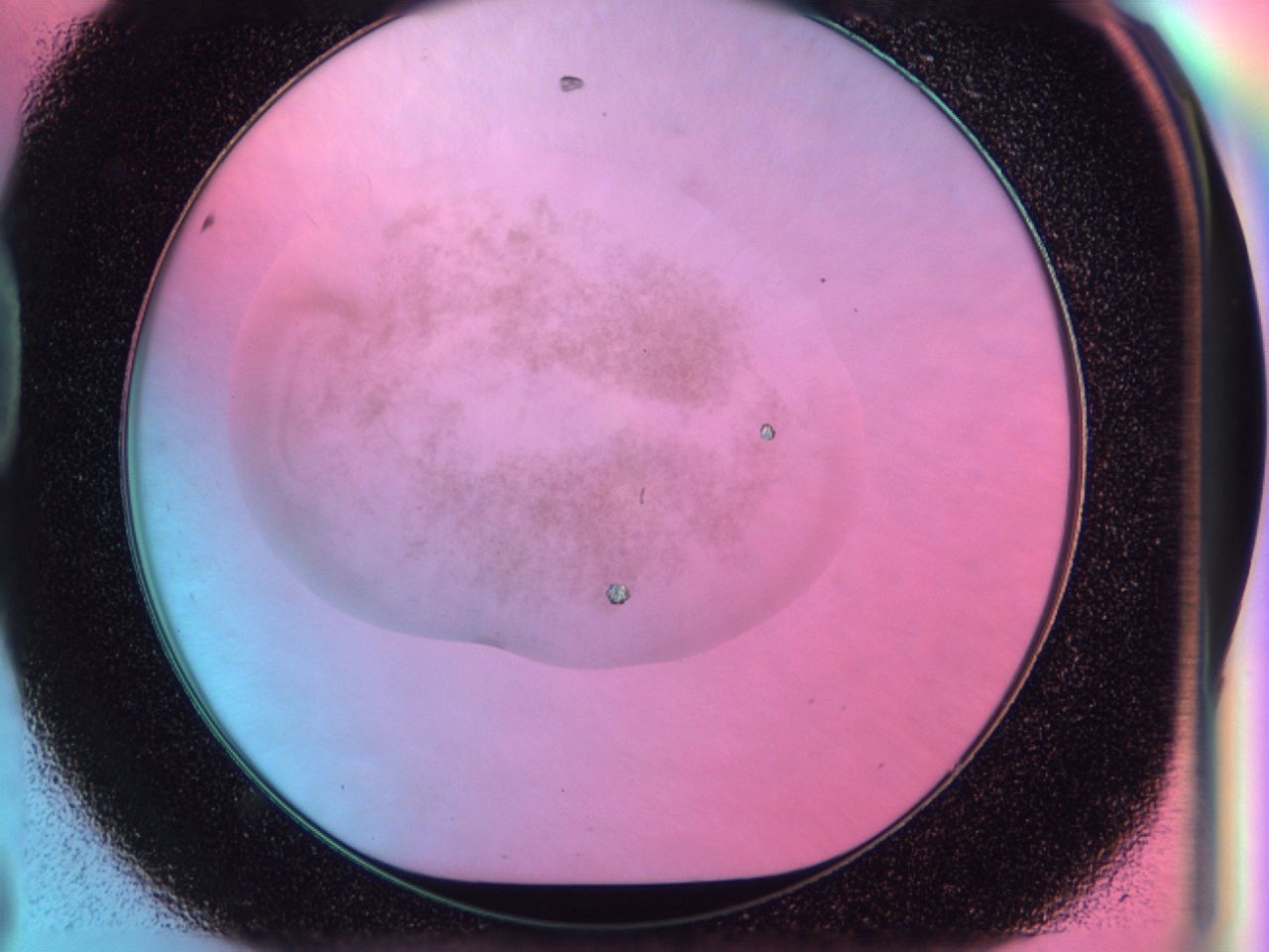 036z_D8_ImagerDefaults_7.jpg