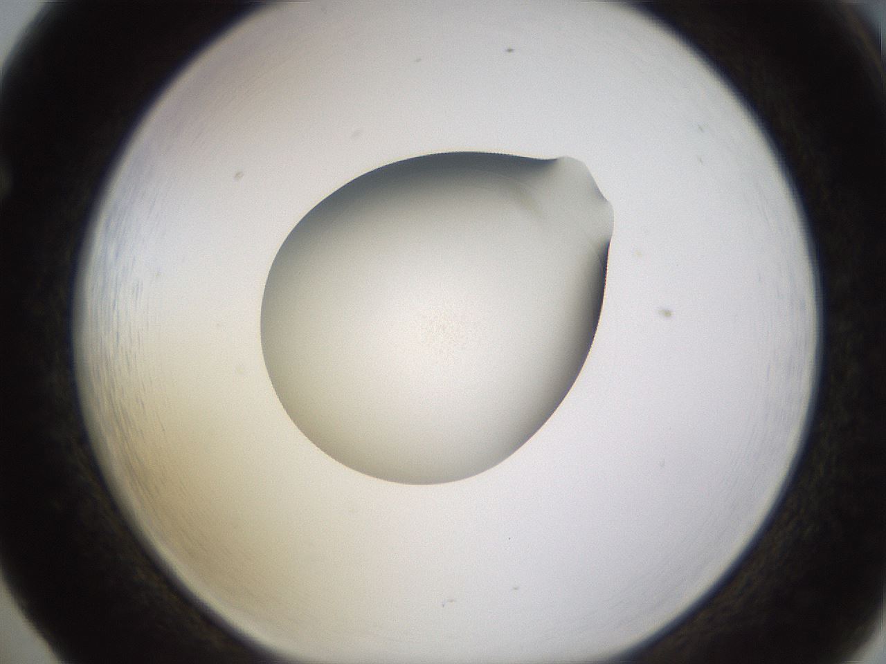 folderID401_plateID1401_batchID5050_wellNum65_profileID1_d1_r85042_ef.jpg