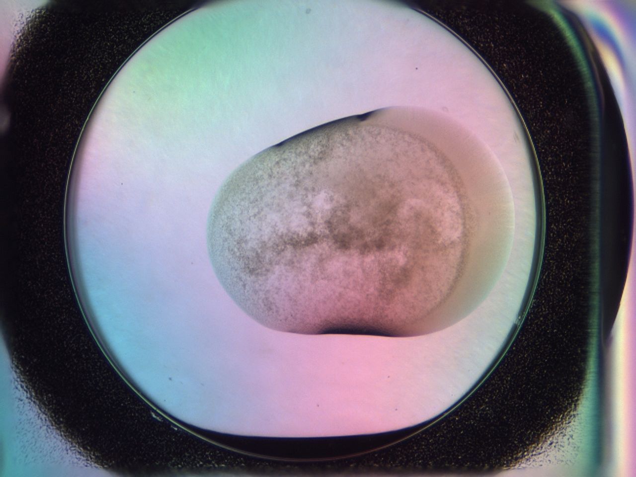 0373_F8_ImagerDefaults_7.jpg
