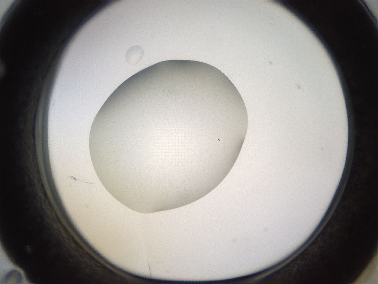 folderID401_plateID1401_batchID5050_wellNum71_profileID1_d1_r85048_ef.jpg