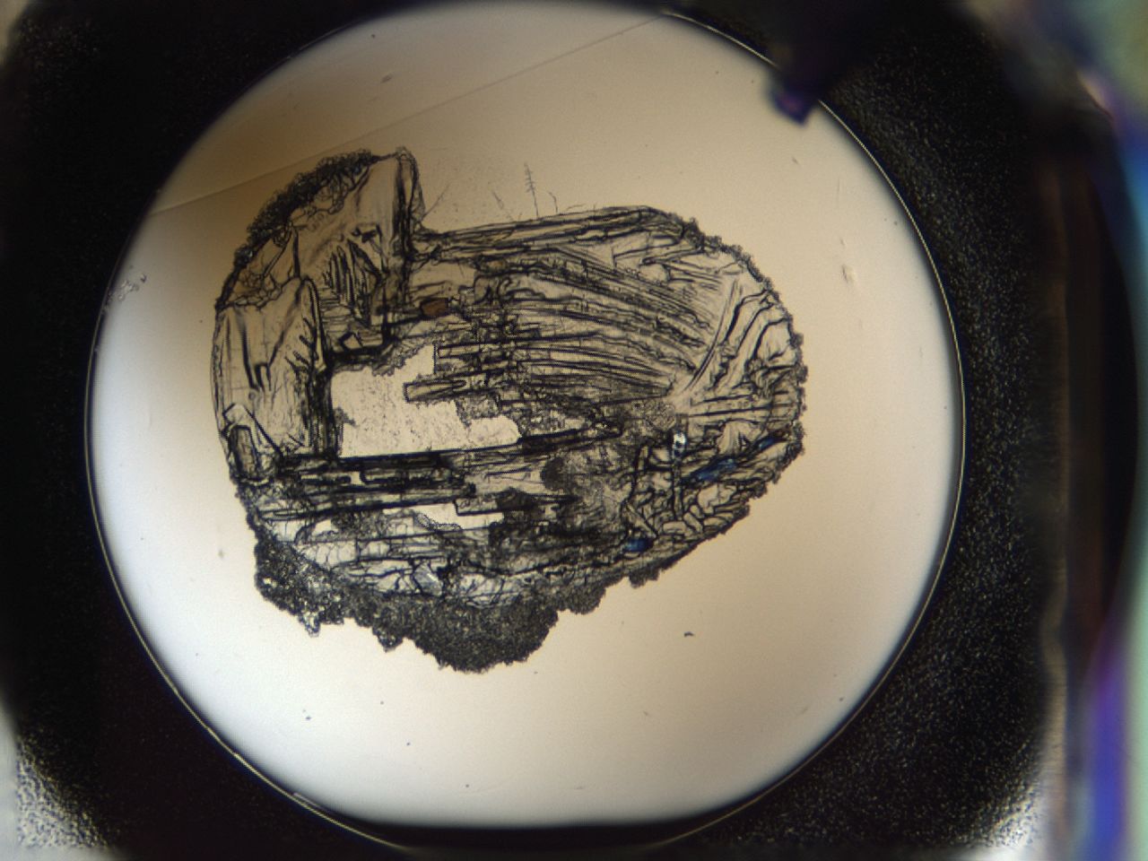 037n_F1_ImagerDefaults_9.jpg