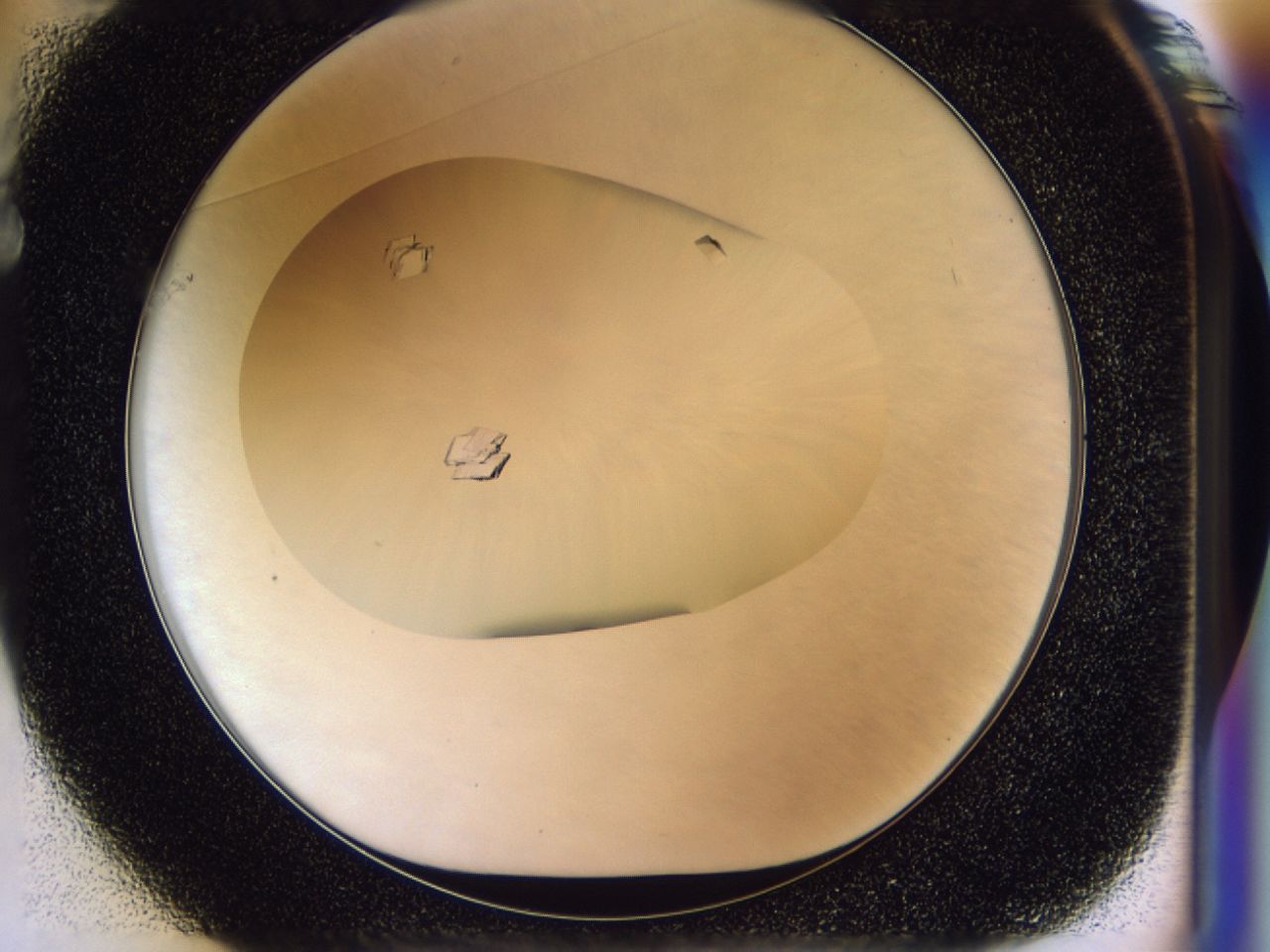 037w_F1_ImagerDefaults_9.jpg