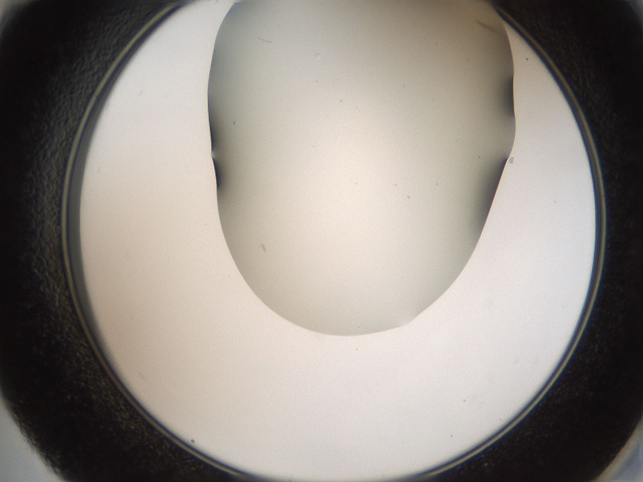 folderID401_plateID2401_batchID11542_wellNum59_profileID1_d2_r177688_ef.jpg