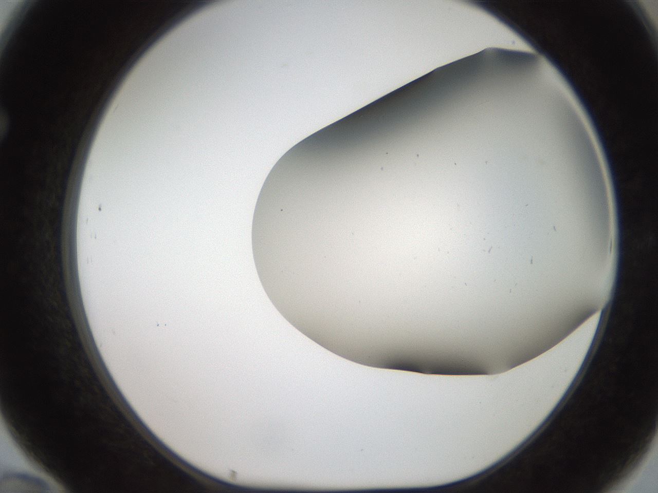 folderID401_plateID2401_batchID11542_wellNum70_profileID1_d1_r177709_ef.jpg