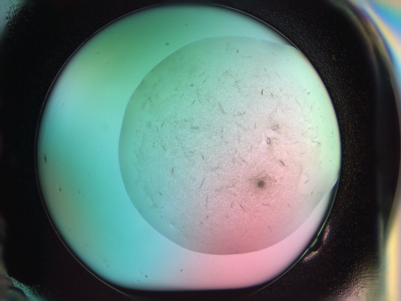 037x_G10_ImagerDefaults_9.jpg