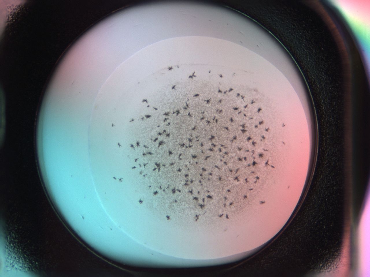 0381_D5_ImagerDefaults_6.jpg