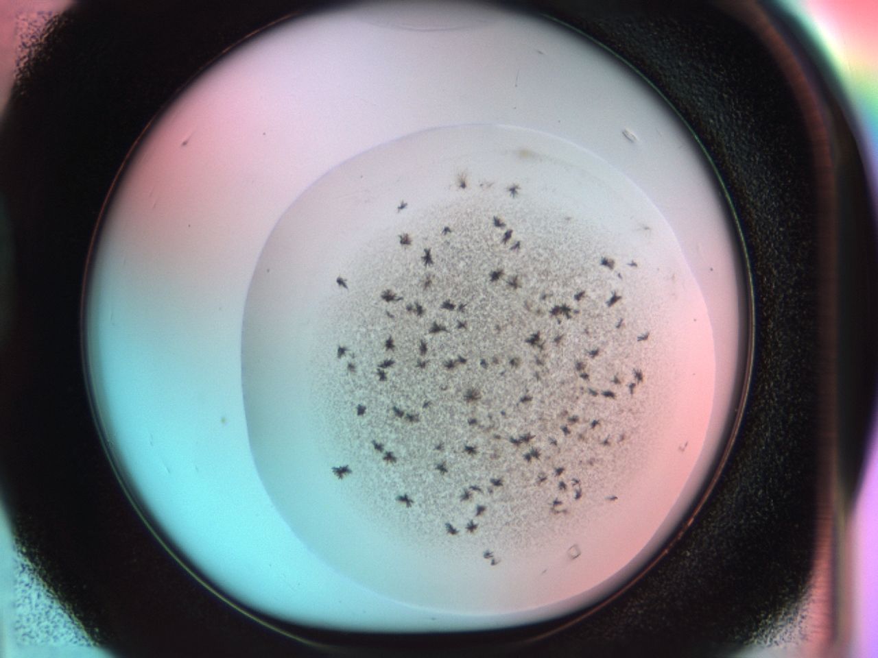 0381_D4_ImagerDefaults_6.jpg