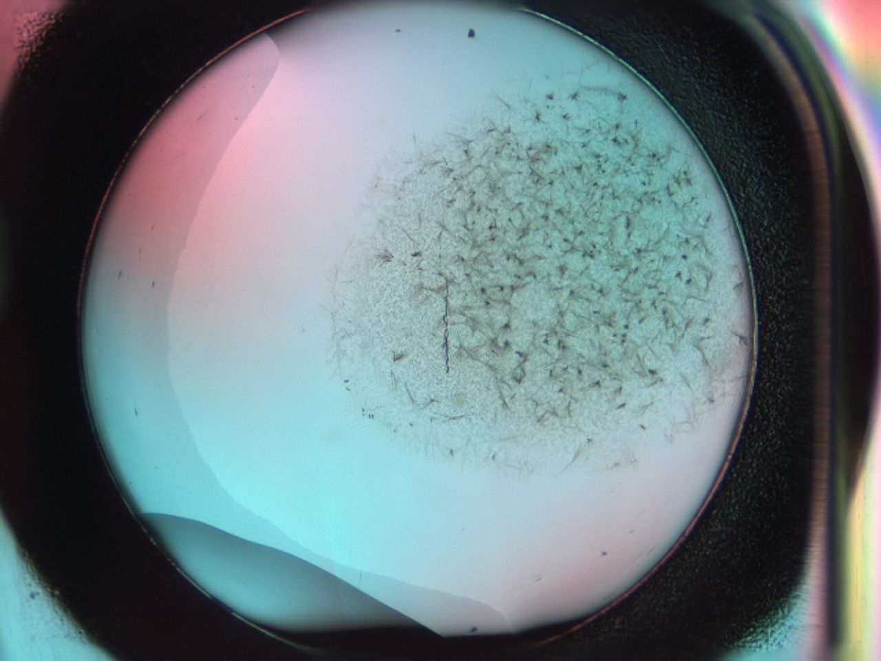 0381_D9_ImagerDefaults_6.jpg