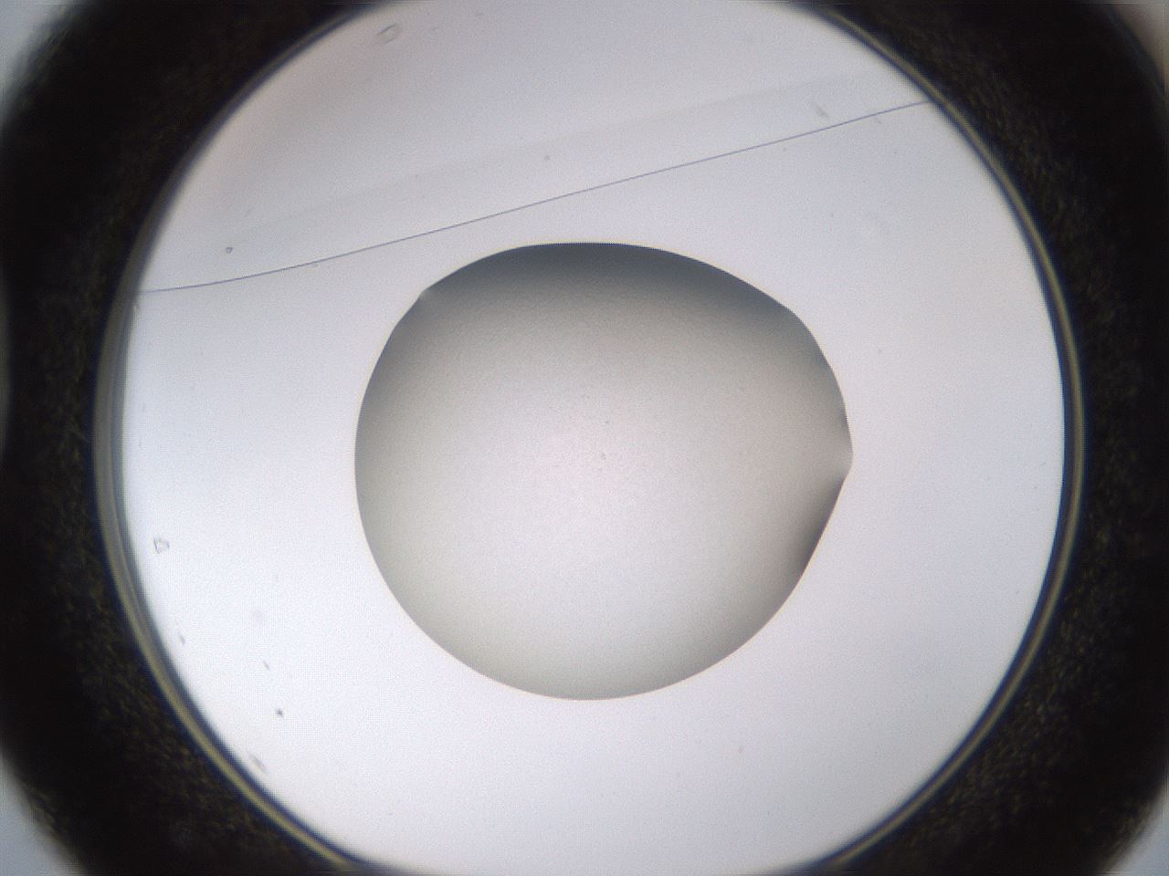 folderID403_plateID1403_batchID5056_wellNum37_profileID1_d1_r85494_ef.jpg