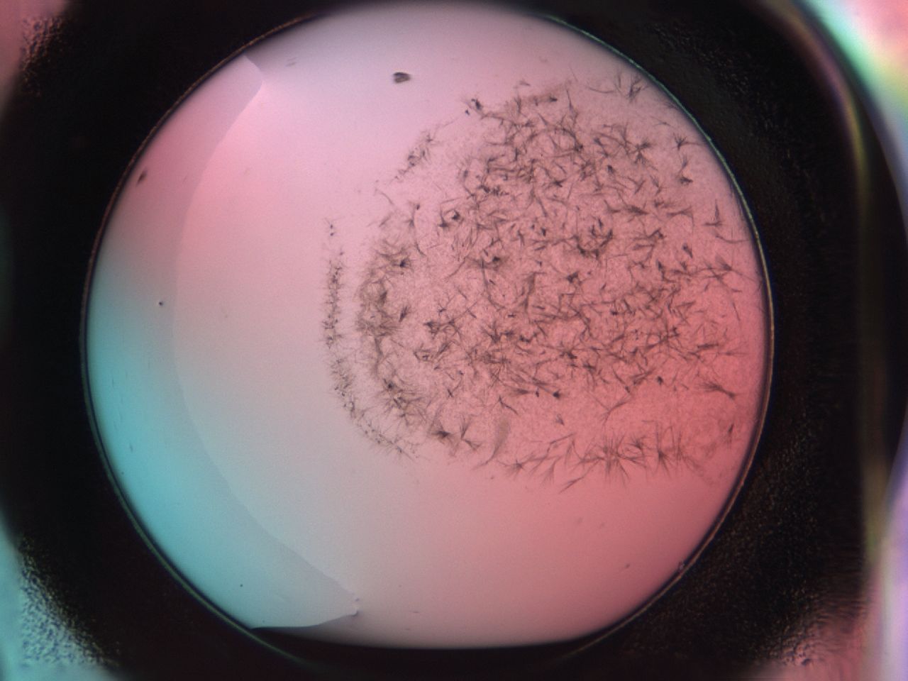 0381_D8_ImagerDefaults_6.jpg