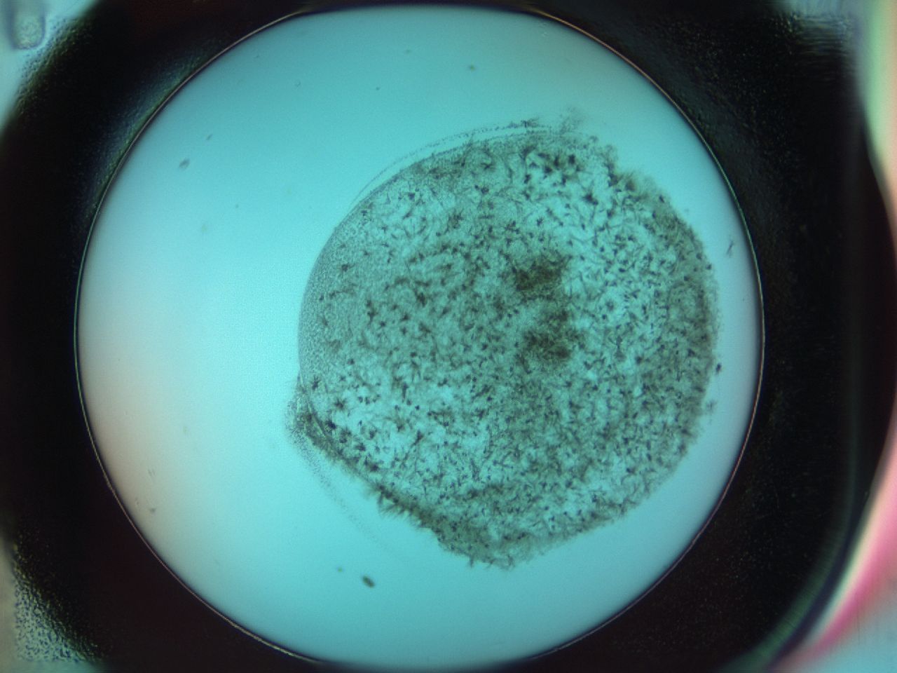 0381_C11_ImagerDefaults_6.jpg