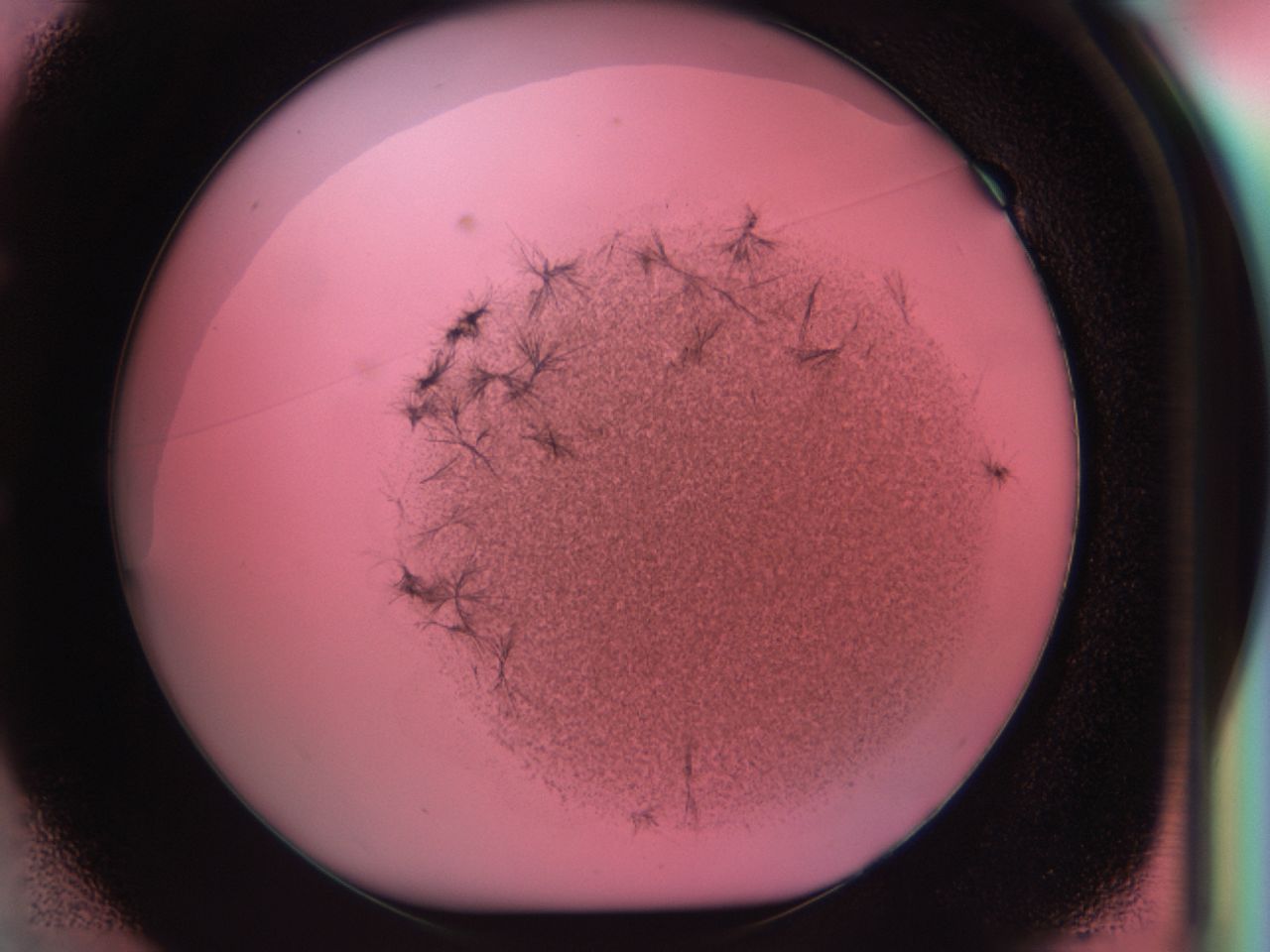 0381_E1_ImagerDefaults_6.jpg
