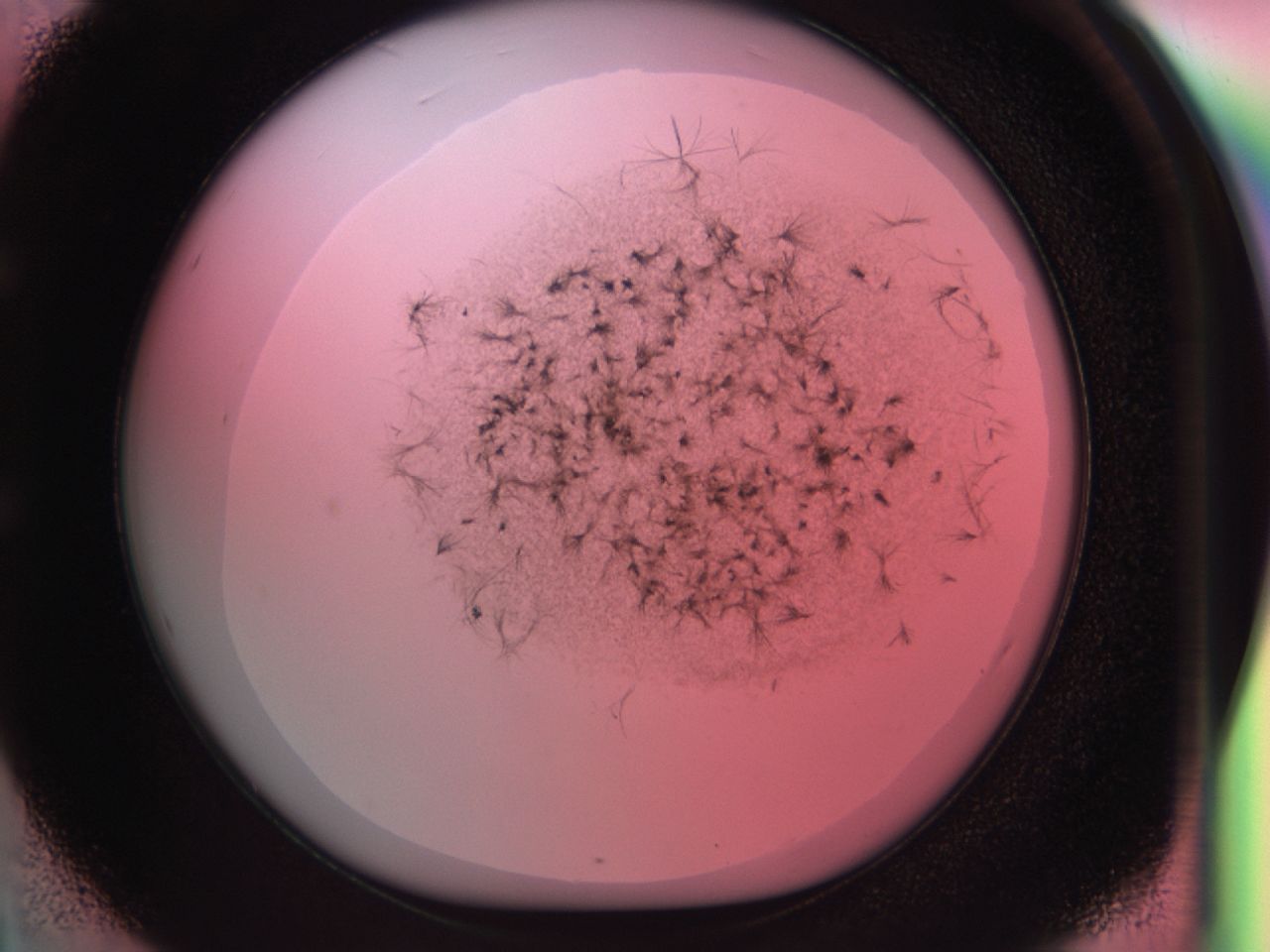0381_E3_ImagerDefaults_6.jpg