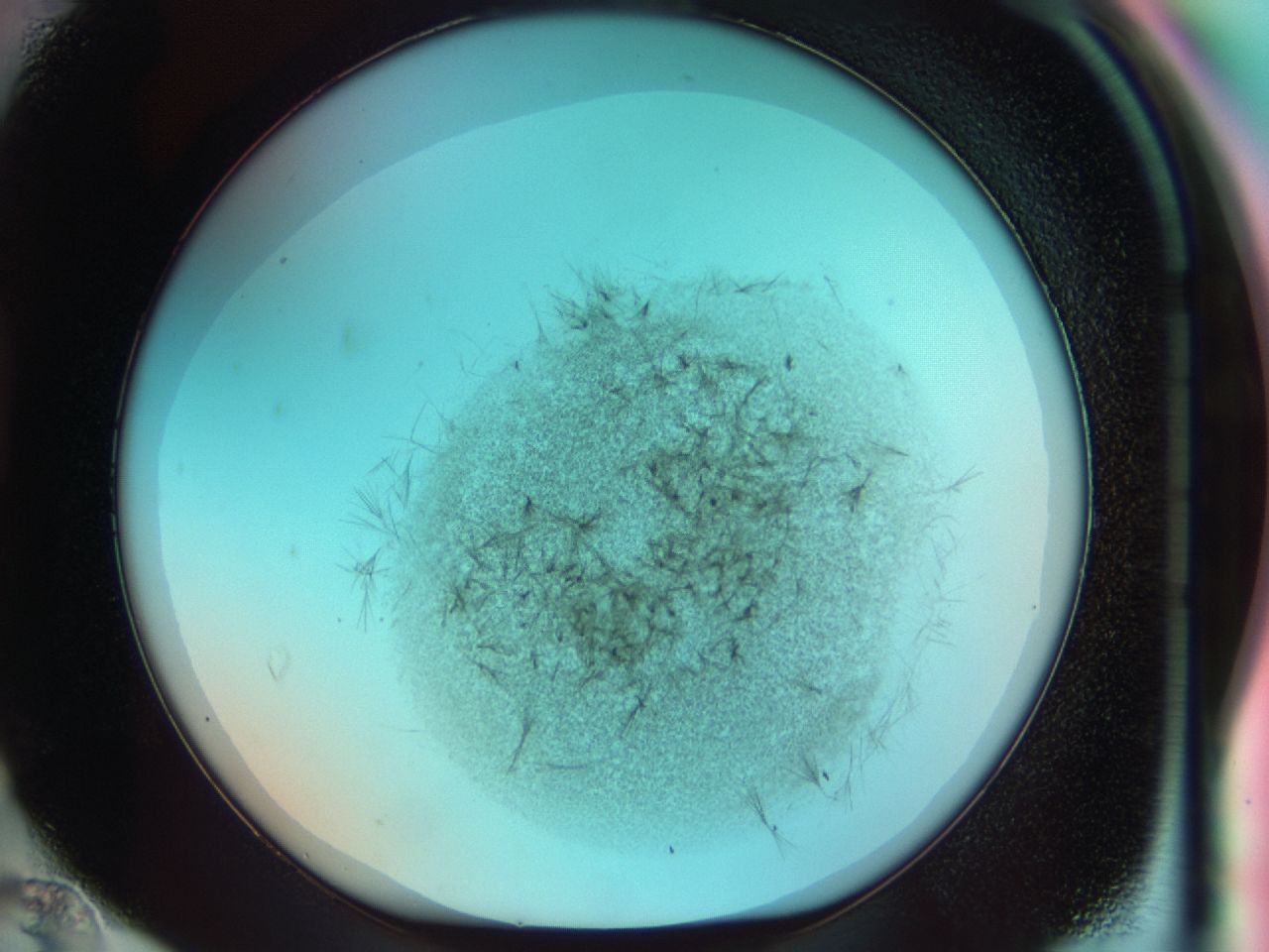 0381_D12_ImagerDefaults_6.jpg