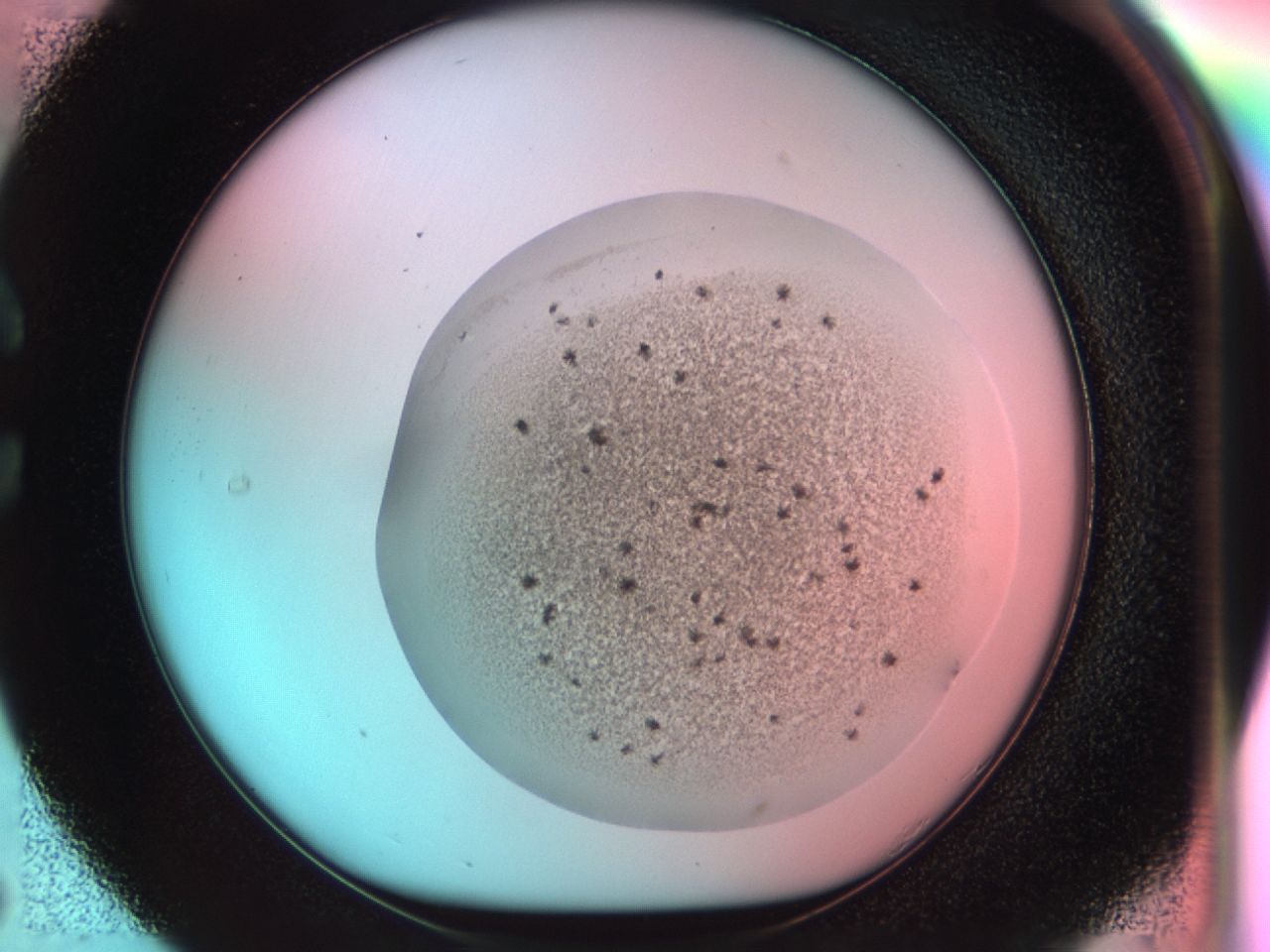 0381_C5_ImagerDefaults_6.jpg
