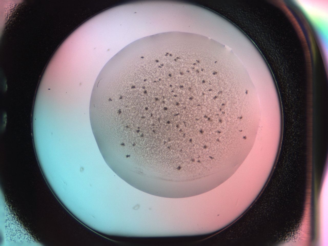 0381_C6_ImagerDefaults_6.jpg