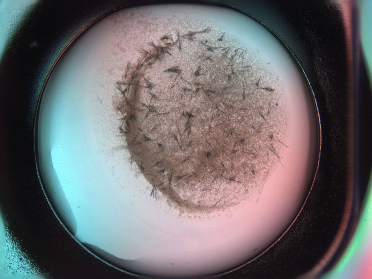 0381_C8_ImagerDefaults_7.jpg