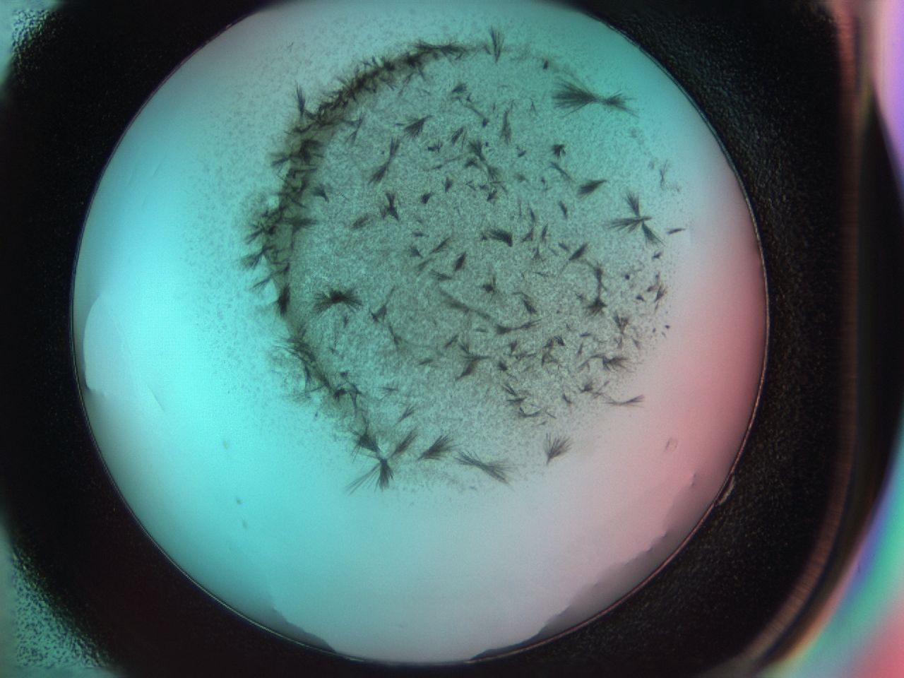 0381_E4_ImagerDefaults_7.jpg