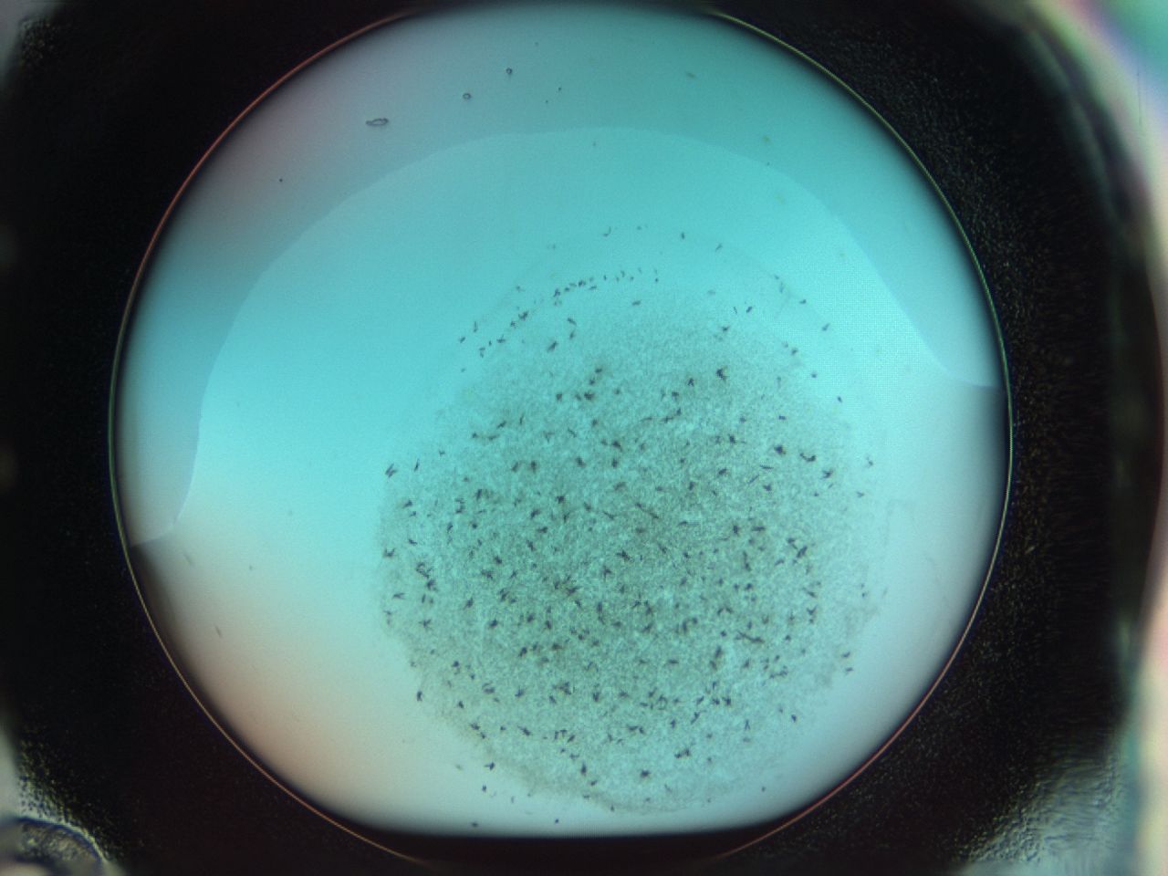 0381_E12_ImagerDefaults_6.jpg